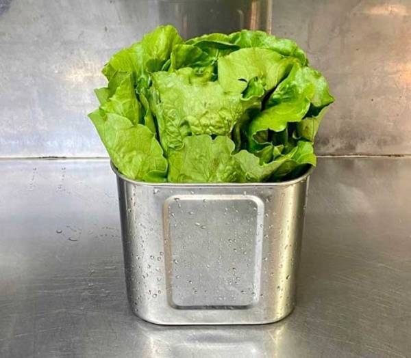 芯を薄く切ると？　レタスのライフハックに「マジか」「目からウロコ」