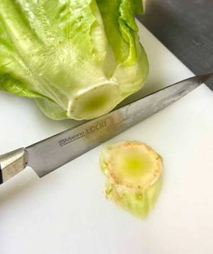 芯を薄く切ると？　レタスのライフハックに「マジか」「目からウロコ」