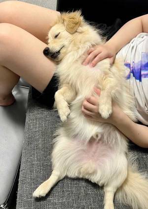 突然座り込んだ理由が、コレ　「このパターンは初めて」「笑った」