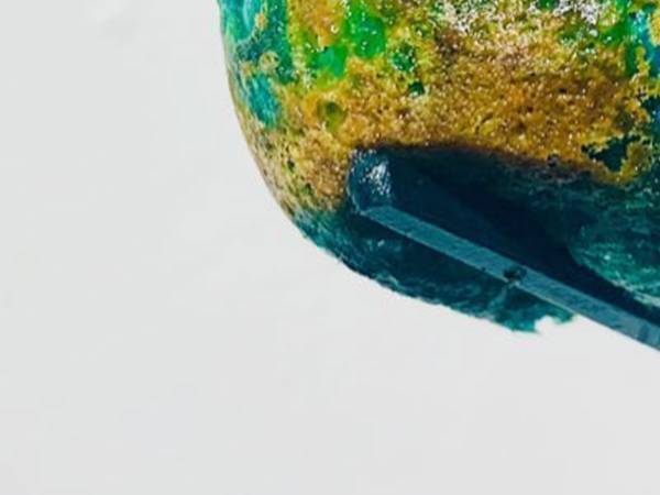 たこ焼きをカラフルにしようとした女性　見た目が完全に『アレ』だと話題に