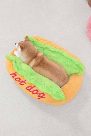 柴犬が『アレ』に変身　くつろぐ姿をとらえたら…「絵かと思った」「おいしそう」