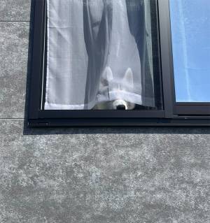 見送る姿が「最高！」　カーテンの下から見えたのは？