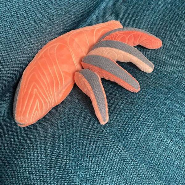 サケの切り身に「食べられない…」　理由に「シュールすぎる」「笑った」