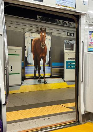 駅のホームの写真に１２万人が混乱！　そこには『いるはずのない』存在が…