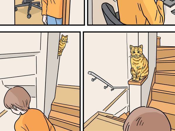 飼い主が階段を降りていると？　まさかの結末に驚き！