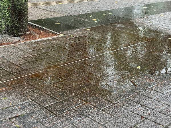 違いが分かる？　『雨が降る』時の３つのいい方とは