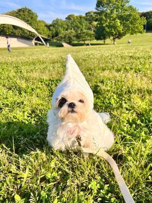 公園で遊ぶ子供「なんかいる！」　正体に「見たら幸せになれそう」「妖精さん？」