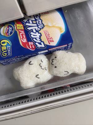 「これじゃ食べられない！」　変わった形で冷凍保存されたご飯が話題に