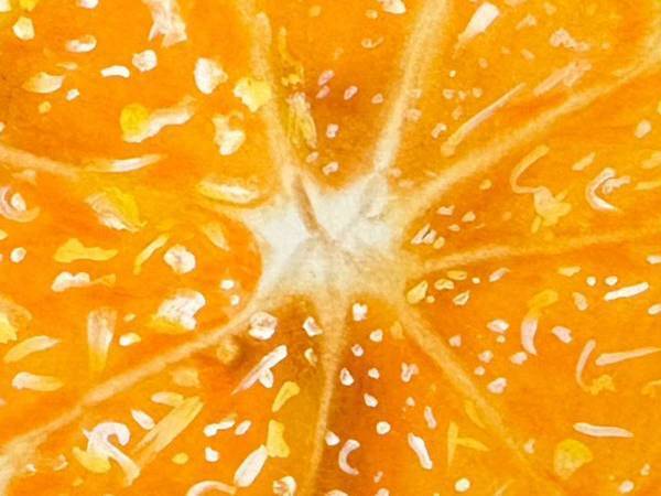 小３娘が描いたオレンジの絵、よく見ると？　「小３ってなんだっけ？」「天才か」