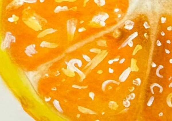 色鉛筆で描いたオレンジの写真