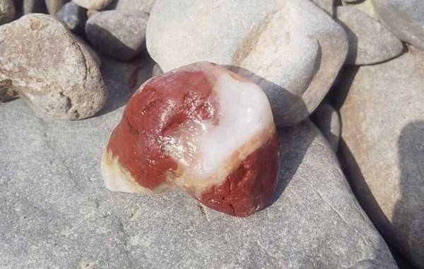 川原に落ちていた石が完全にアレ　写真に「いや、どっからどう見ても」