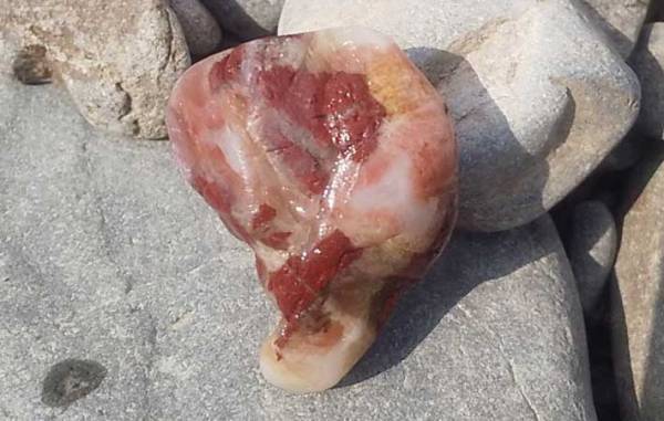 川原に落ちていた石が完全にアレ　写真に「いや、どっからどう見ても」