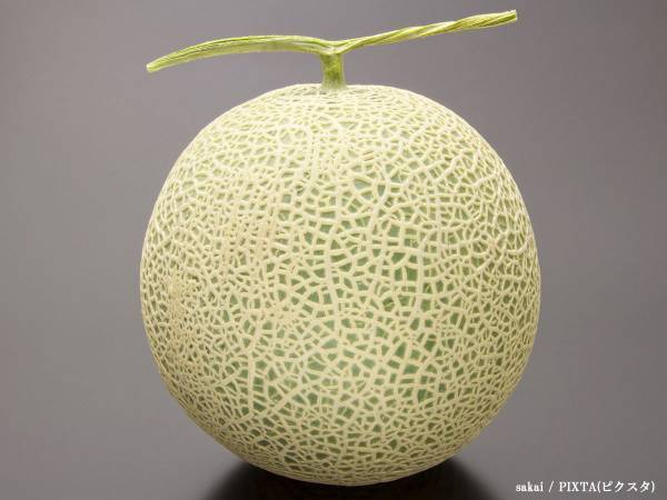 メロンを選ぶ時は○○に注目？　味のよさを決めるポイントに「そこか！」