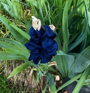 「これは笑った」「まさかの…」　珍しい花が咲いていると思いきや？