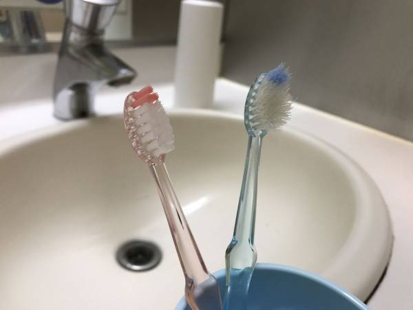 歯ブラシの交換は「月に…」　タイミングに「初めて知った」「逃してた」