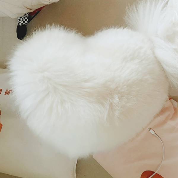 上から見ると？　ポメの１枚に「難しい」「待ち受けにしたい」