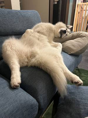 まさか、人間？　目を疑う２枚に爆笑！