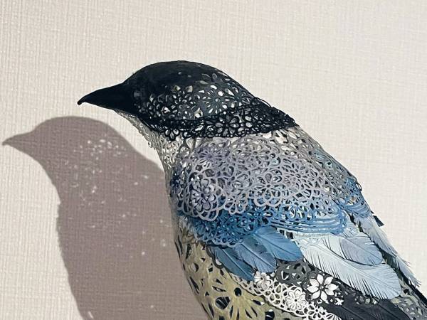 尾の長い鳥に２万人が注目　その正体に「ちょっと信じられない」