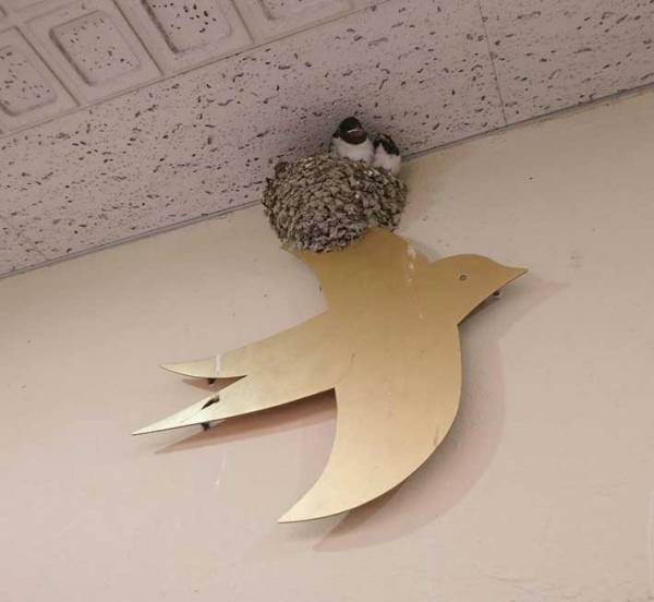 鳥のオブジェを撮ったワケに、納得！　「こんな奇跡があるんだ」