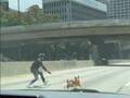 「こんなの初めて見た」　高速道路を走る犬に気付いた人たちが次々と…？
