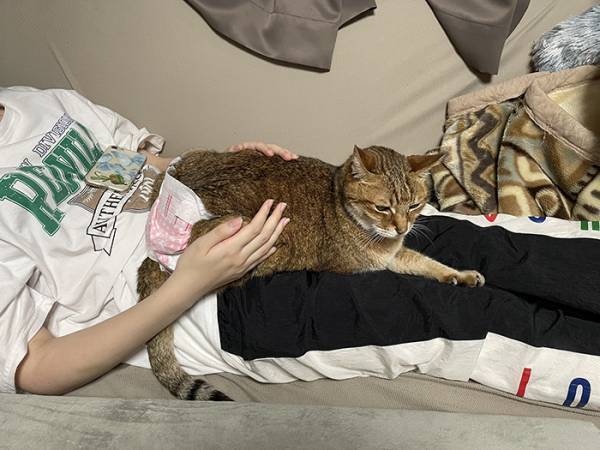 赤ちゃんに寄り添う猫　１５年後の姿に「涙が出た」「こんなのずるい」