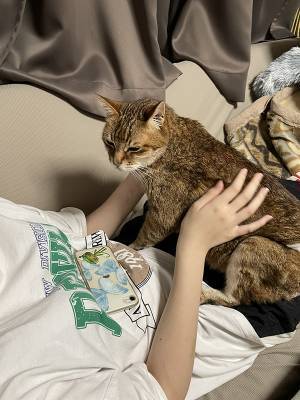 赤ちゃんに寄り添う猫　１５年後の姿に「涙が出た」「こんなのずるい」