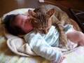 赤ちゃんに寄り添う猫　１５年後の姿に「涙が出た」「こんなのずるい」