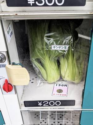 町で目にした野菜の無人販売　入っていたものに「その手があったか！」