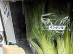 町で目にした野菜の無人販売　入っていたものに「その手があったか！」