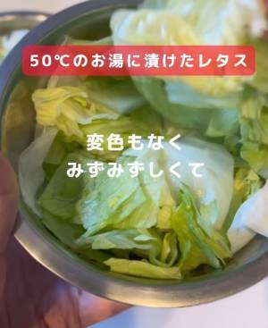 カットレタスの変色を防ぐには？　ひと手間に「やってみます」「簡単すぎた」