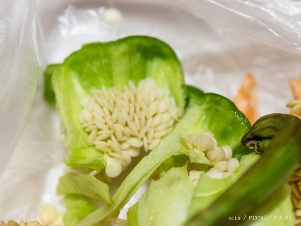 ワタとタネ、捨てないで！　農家おすすめの食べ方に「ビックリ」
