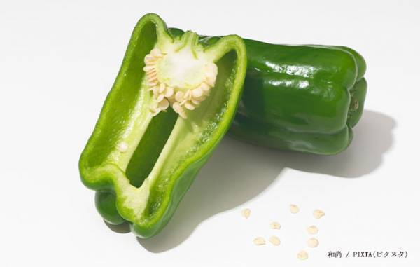 ワタとタネ、捨てないで！　農家おすすめの食べ方に「ビックリ」