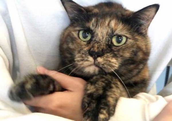 「似すぎ」「笑った」　『ゴルゴ13』のそっくりさんがSNSで話題