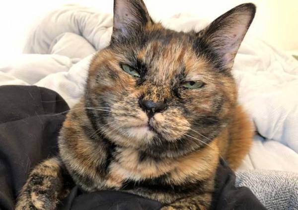 「似すぎ」「笑った」　『ゴルゴ13』のそっくりさんがSNSで話題