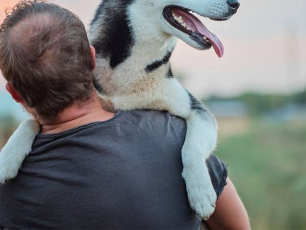 「笑いが止まらない」　まだ散歩がしたいハスキーを連れて帰ろうとしたら？