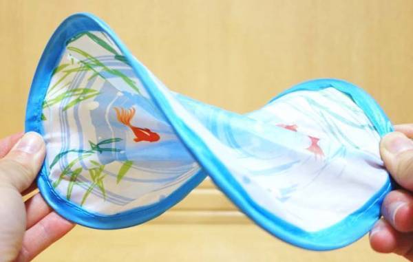 見た子供が「かわいい～」　小さなうちわ、ダイソーで探してみて！