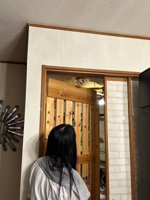 ドアを開けた飼い主が変な声を上げ…　「これはビビる」と話題の１枚がこちら！