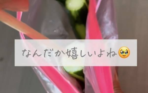 割り箸で刺したらできあがり　アレの一本漬けが「屋台超えてる」「リピートします」
