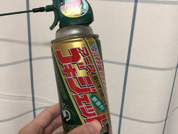 子供やペットがいる部屋での殺虫剤はOK？　企業の答えに「躊躇していた」