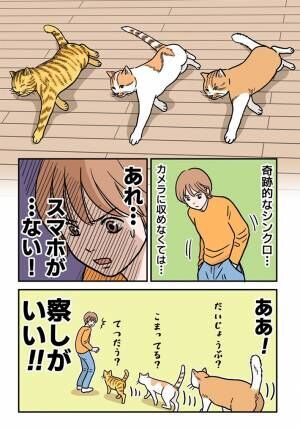 猫の漫画の画像