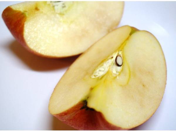 変色したリンゴが１０分で元通り！　農水省の裏技に「考えもしなかった」「マジかよ」