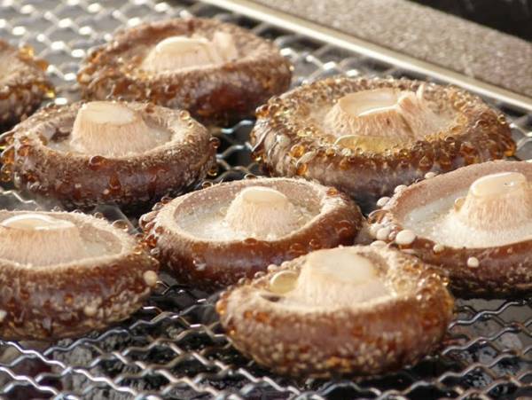 シイタケの軸、捨てた方がいい？　農家の回答に「そうだったんだ」