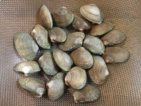 アサリのうまみがアップ！　意外なひと手間に「なるほど」「知らなかった」