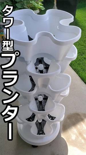 自宅でイチゴを育てた結果？　オチに吹き出す人続出！「マジで笑った」