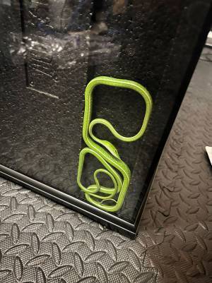 ヘビの写真に４万人がざわつく　衝撃の１枚に「そんなバカな」「すごいフィット感」