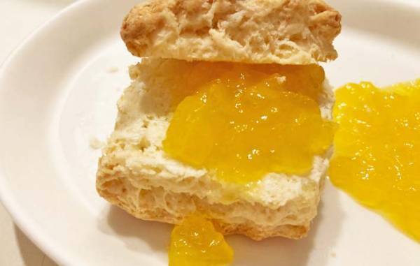 そのまま食べるの待って！　グミを水で溶かしたら…？