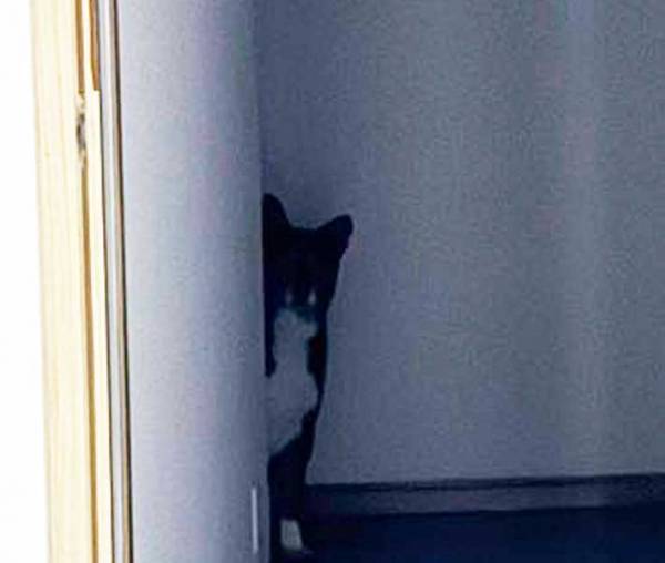 夜に肉を焼いていると？　廊下から視線が…「笑った」「気付かれた！」