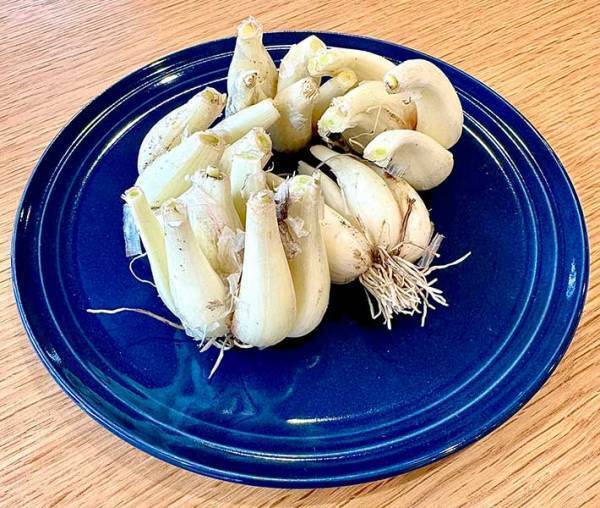 カレーのトッピングだけじゃない　『らっきょう』の意外な食べ方