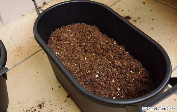 ４５都道府県で確認　毒を持った『あの虫』に注意！　「確認が大切」