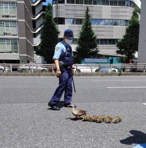 車道に立ち、車を止める３人の警察官　その理由に「嫌なこと忘れそう」